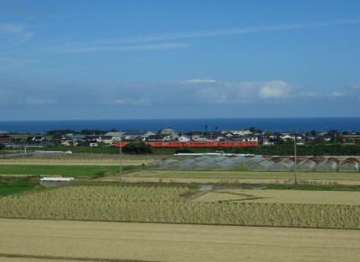 DSC05956