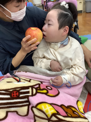 12021