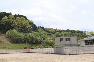 IMG_1767