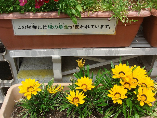 DSC06302