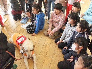 盲導犬の近くでお話を聞きました