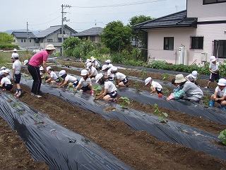 おおきくなってね！！