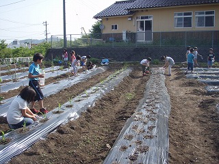 水やりもがんばるよ