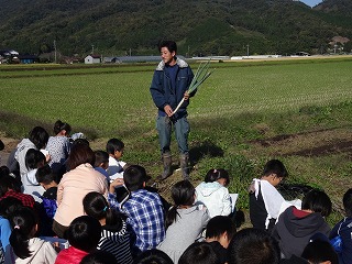 ネギ作りのお話を聞いています