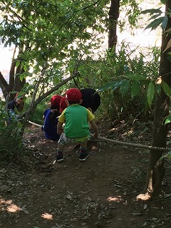 綱を伝っていこう