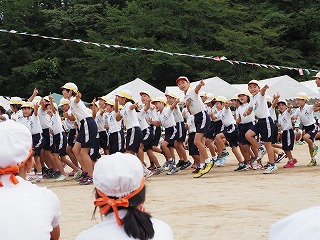 応援優勝黄組の動きのそろった応援