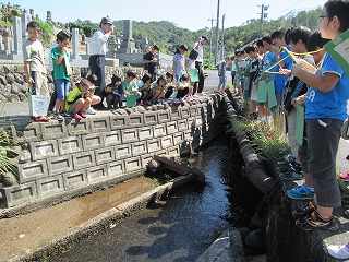 安藤井手はいろいろな地域に水を送り届けています