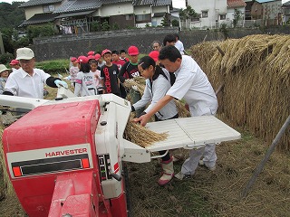 一人ずつ、米を脱穀していきます