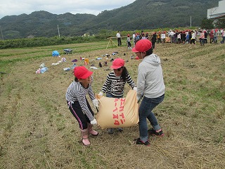 力を合わせてもみを運んでいます