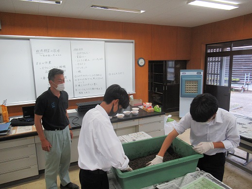 野菜の生産