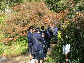 hp2G科研修（六甲高山植物園）