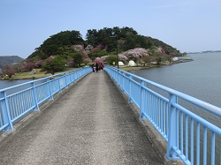 青島_2