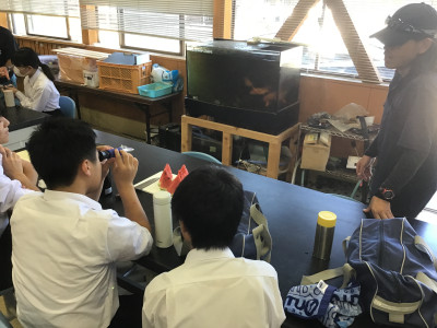 ⑦