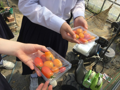 ⑨