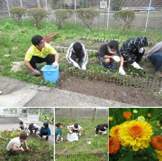 除草作業