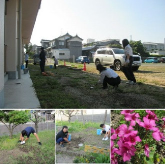 除草作業
