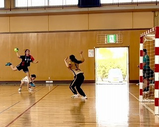 縮小版