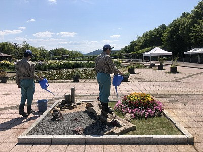 IMG_0729