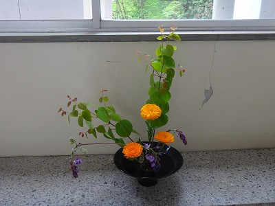 DSC05709