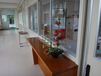 DSC05717