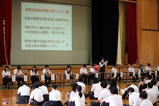 1IMG_7533