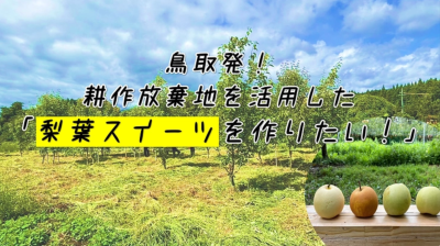 スクリーンショット 2025-02-25 100946