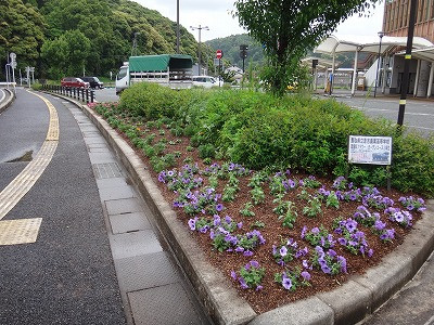 DSC05818