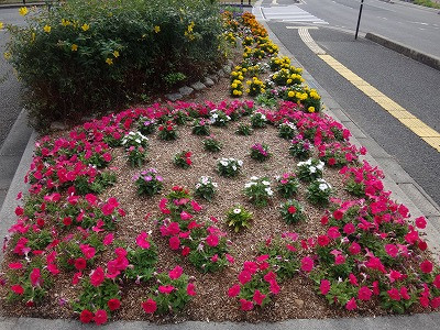 DSC05997