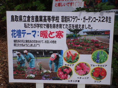 DSC06007