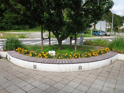 DSC06009