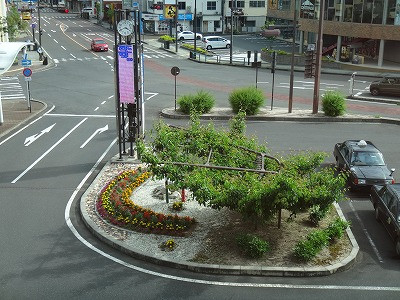 DSC06013