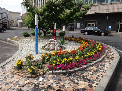 DSC06019