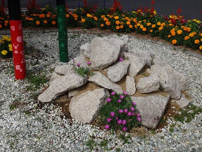 DSC06021