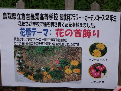 DSC06008