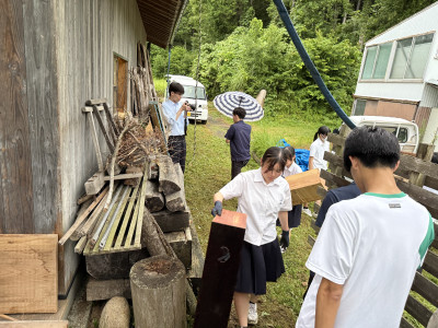 Image_20250715_082648_861