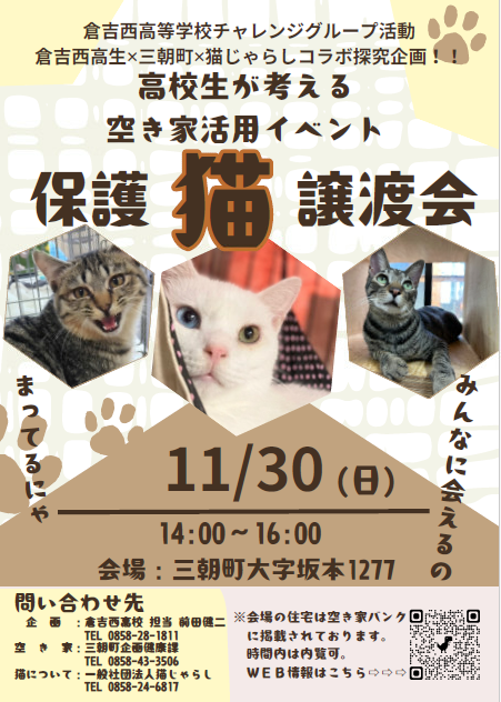 空き家活用イベント(猫の譲渡会)