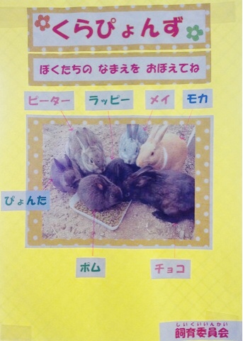 うさぎ