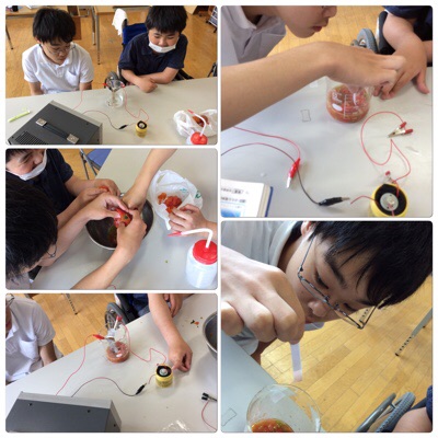 体験入学