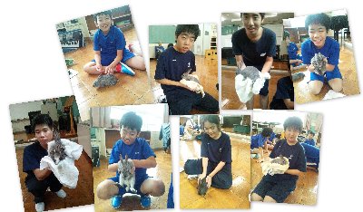 飼育委員会とうさぎ