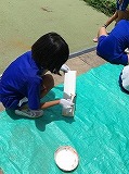 かめりんず