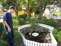 かめりんず