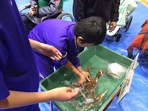かにっこ館