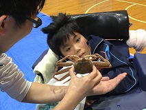 かにっこ館