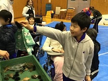 かにっこ館