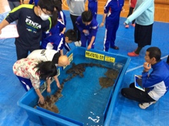 カニっ子館