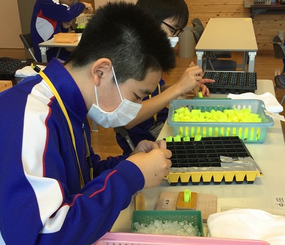 作業中