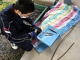 写真木の枝の切りそろえ