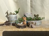 写真リメイク缶植木鉢としきもの