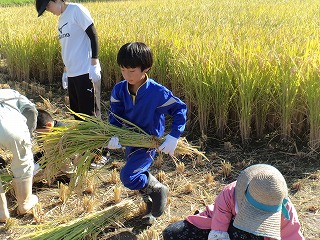 稲運び