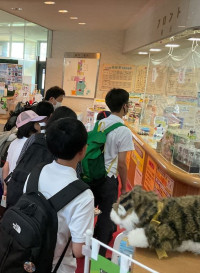 写真これからプール